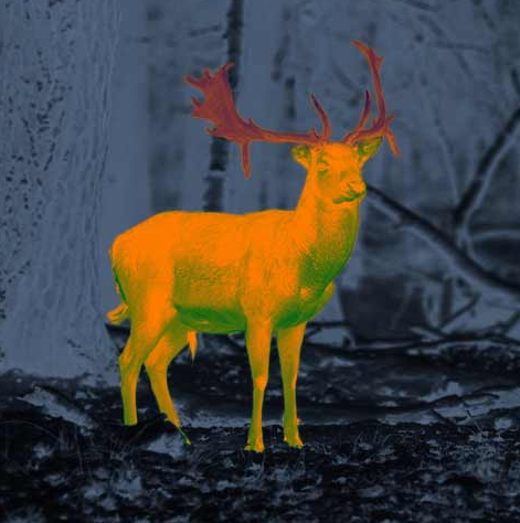 Ilustración de monitorización